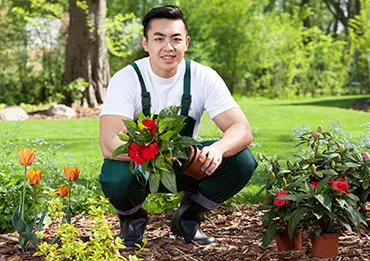 Introducing the Organic Researcher Series