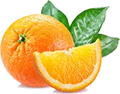 alefox