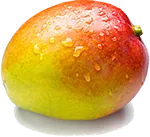 alefox