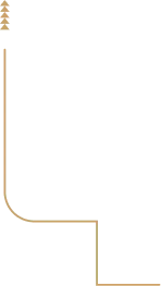 About Shape