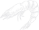 shape